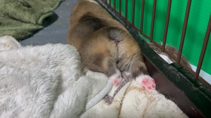 今日も順調に成長中❤️