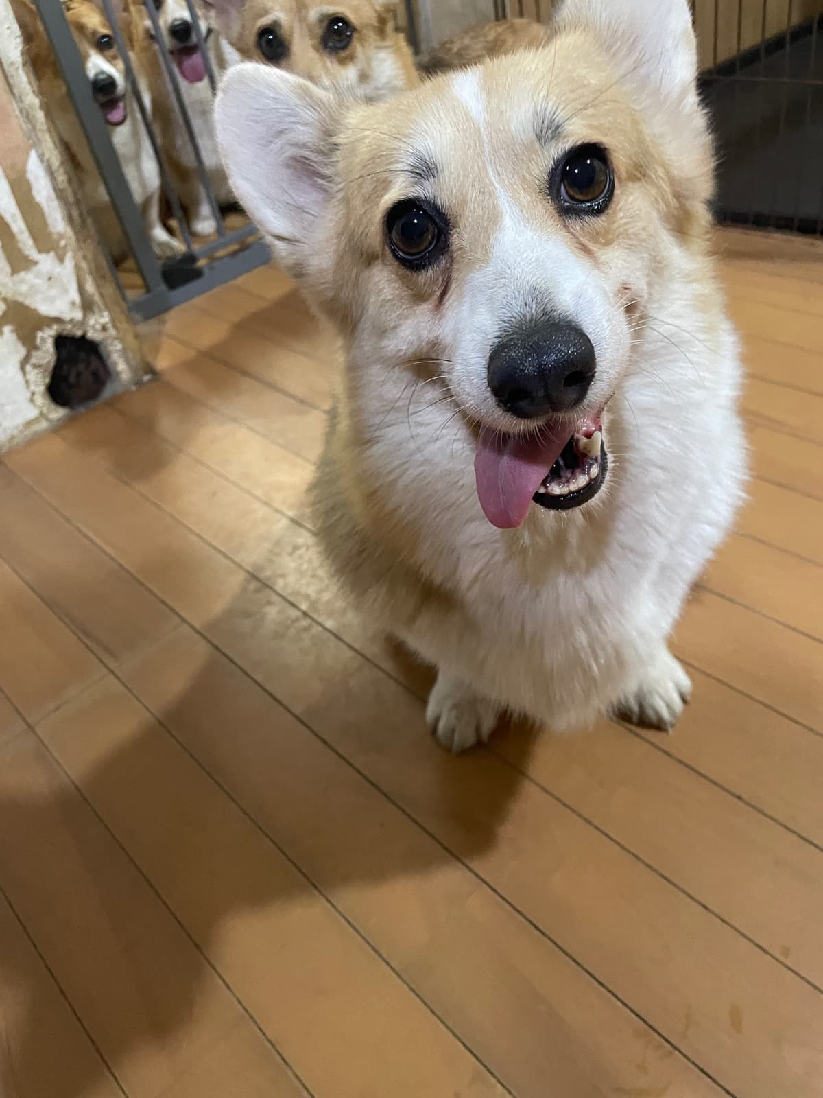 ユタ
