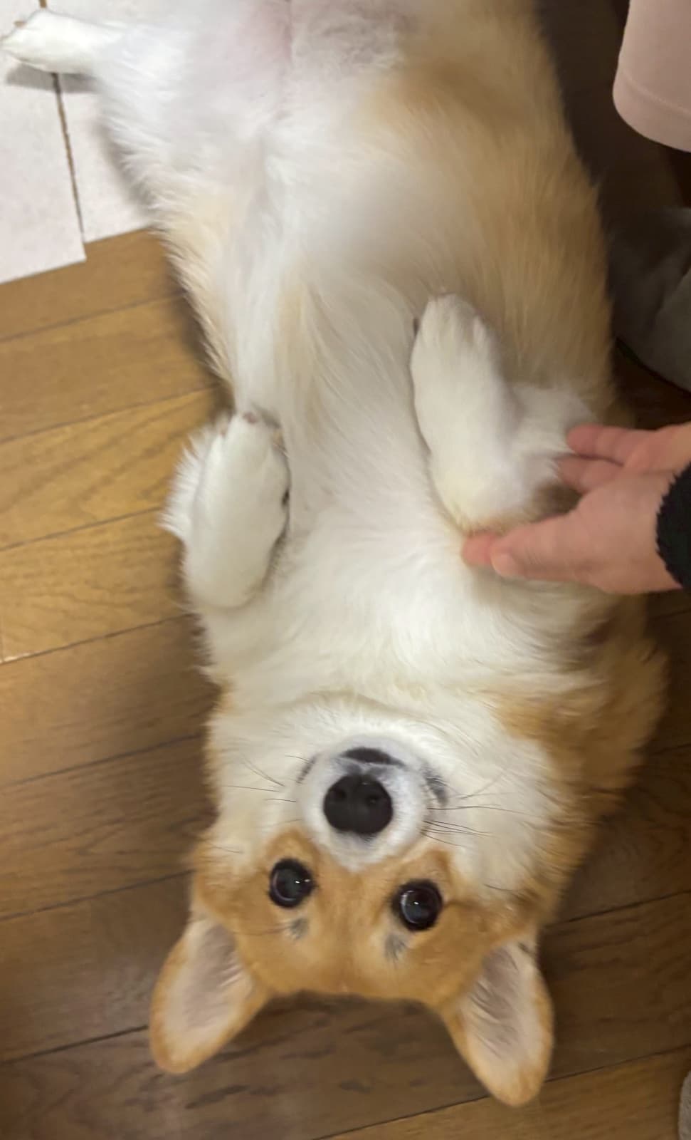 ユナちゃん