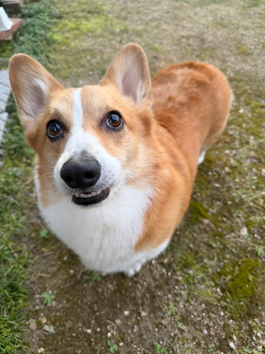 あつあげちゃん