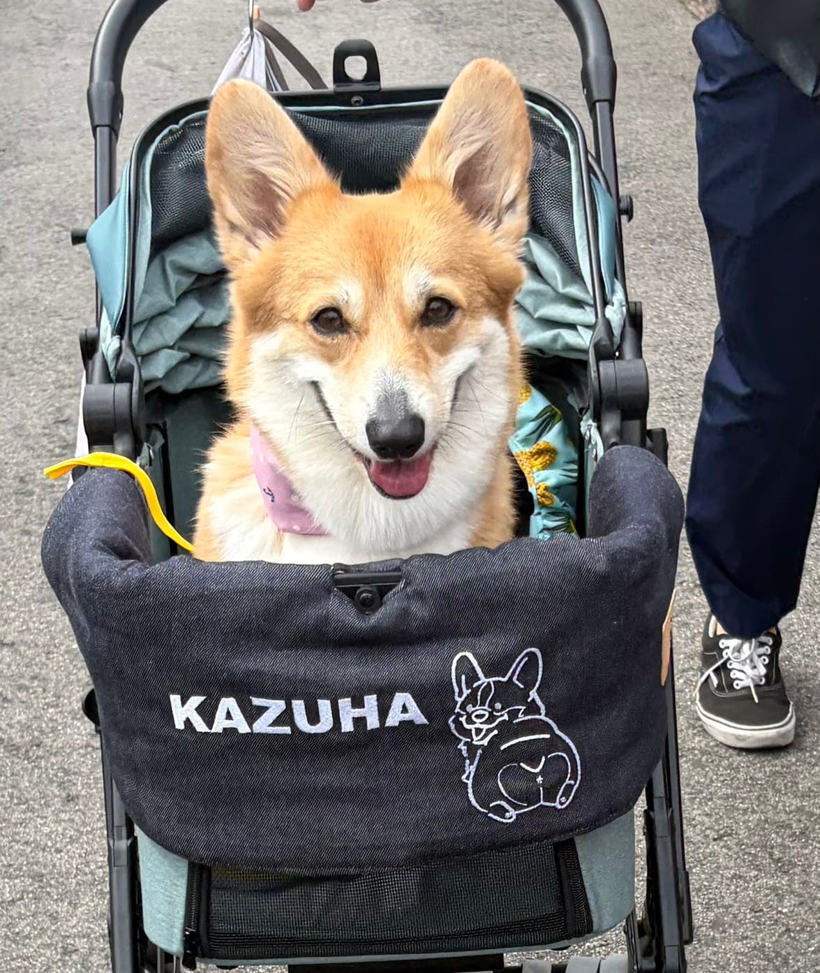 カズハ 写真2