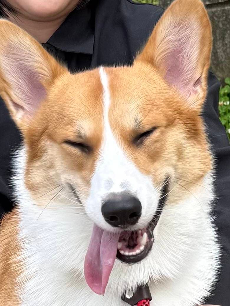 虎之助君