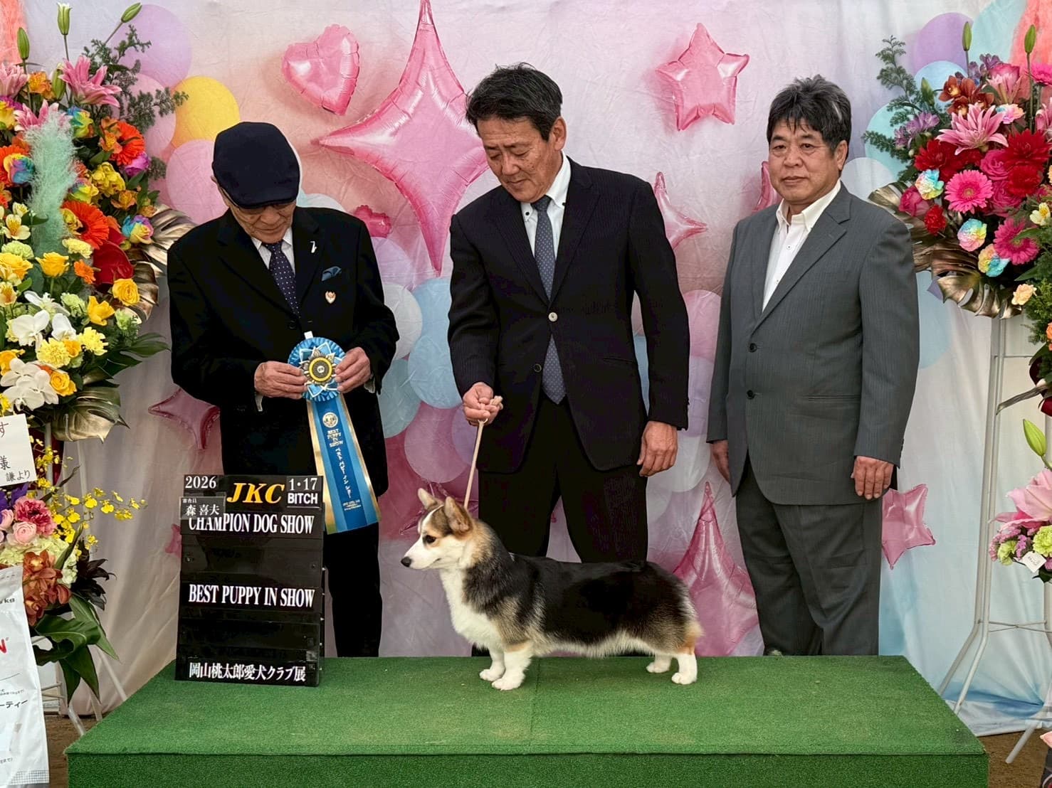 岡山桃太郎愛犬クラブ展・マリア