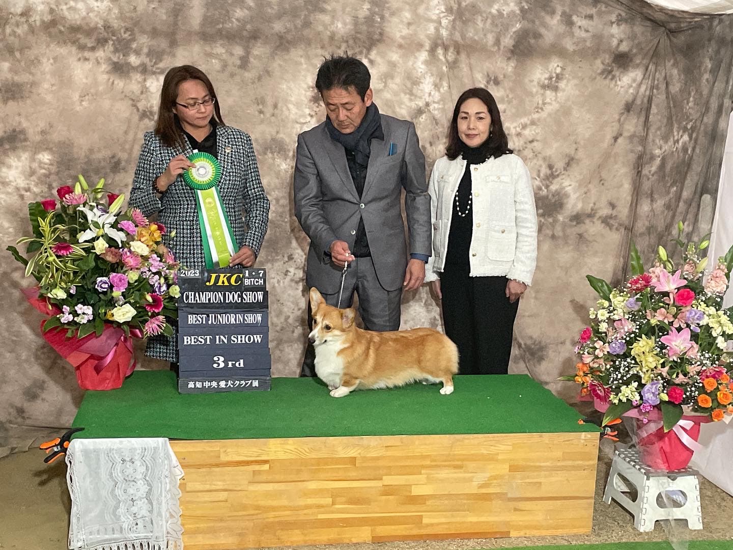 高知中央愛犬ケネル展・もみじ