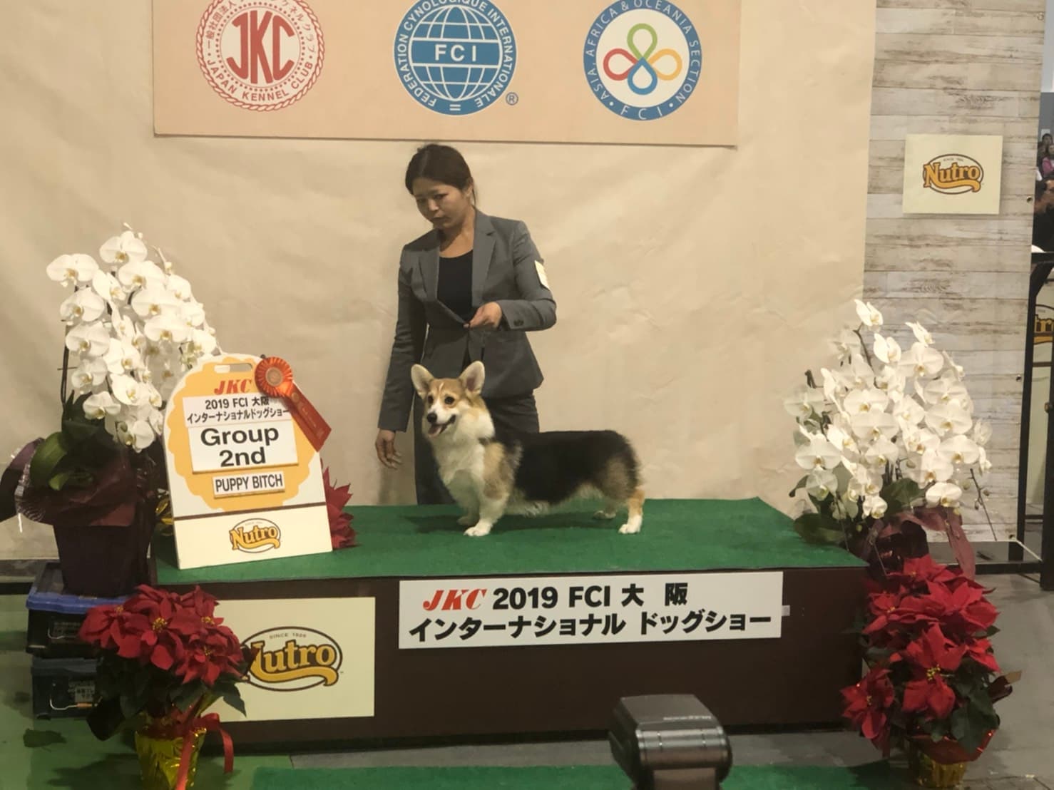 FCI大阪インターナショナルドッグショー・ユタ